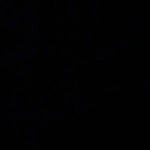 Meet your Posher, Britney